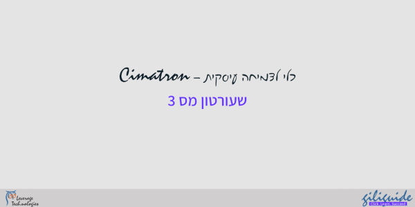הוספת טקסט למודל מלקוח