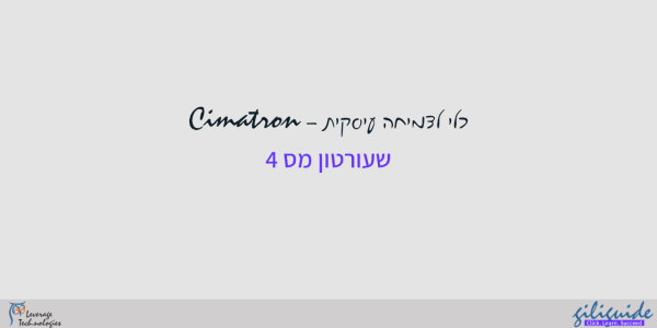בדיקת היתכנות של מודל ליצור